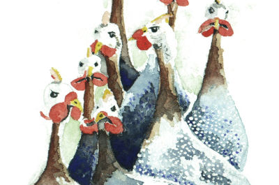 Aquarelles nature et natures mortes